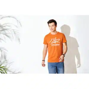 تیشرت مردانه آلمانی برند لیورجی رنگ نارنجی  381399 Livergy