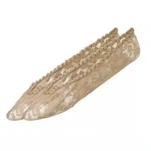جوراب کالج گیپور اسمارا بسته دو جفتی ESMARA 328984