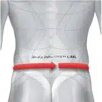 کمربند طبی ورزشی پددار پشتیبان کمر و ستون فقرات سنسی پلاست آلمان 377430 Sensiplast