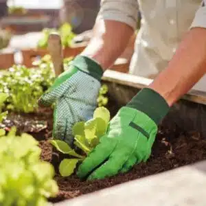 دستکش باغبانی و کار پارکساید اصلی آلمانی پک 2 جفتی 498089 Parkside