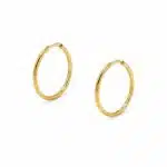 گوشواره نقره آبکاری طلا (gold-plated) حلقه کوچک ظریف برند اصل آی ام تحت لیسانس آلمان 005821 I AM